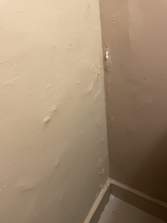 Zimmer Jaz Dar EL Madina