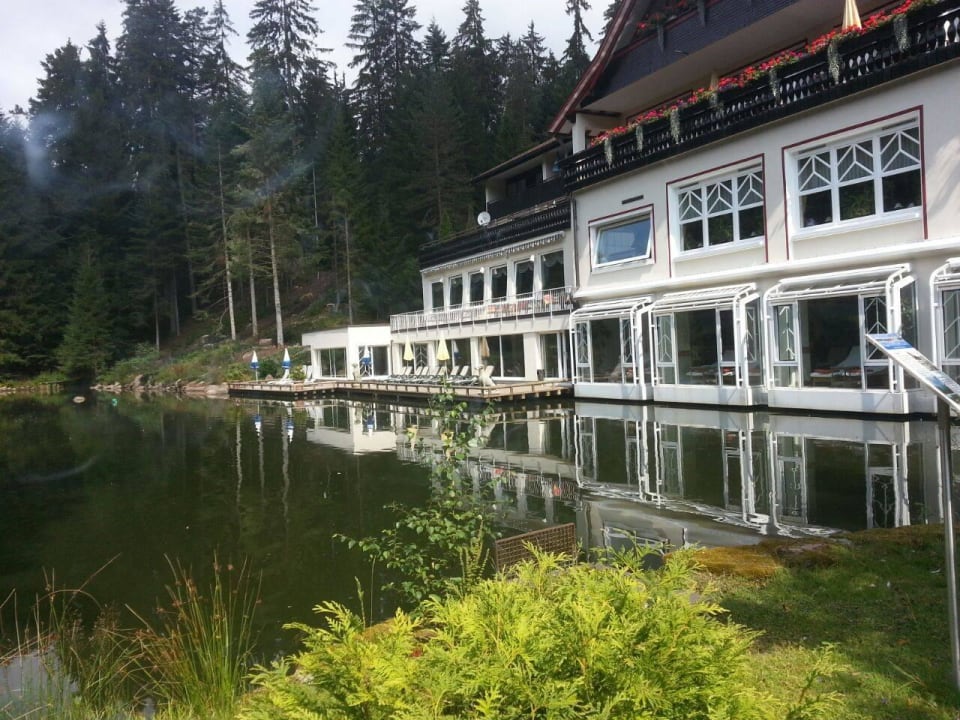 Der See mit Hotel. Hotel Langenwaldsee