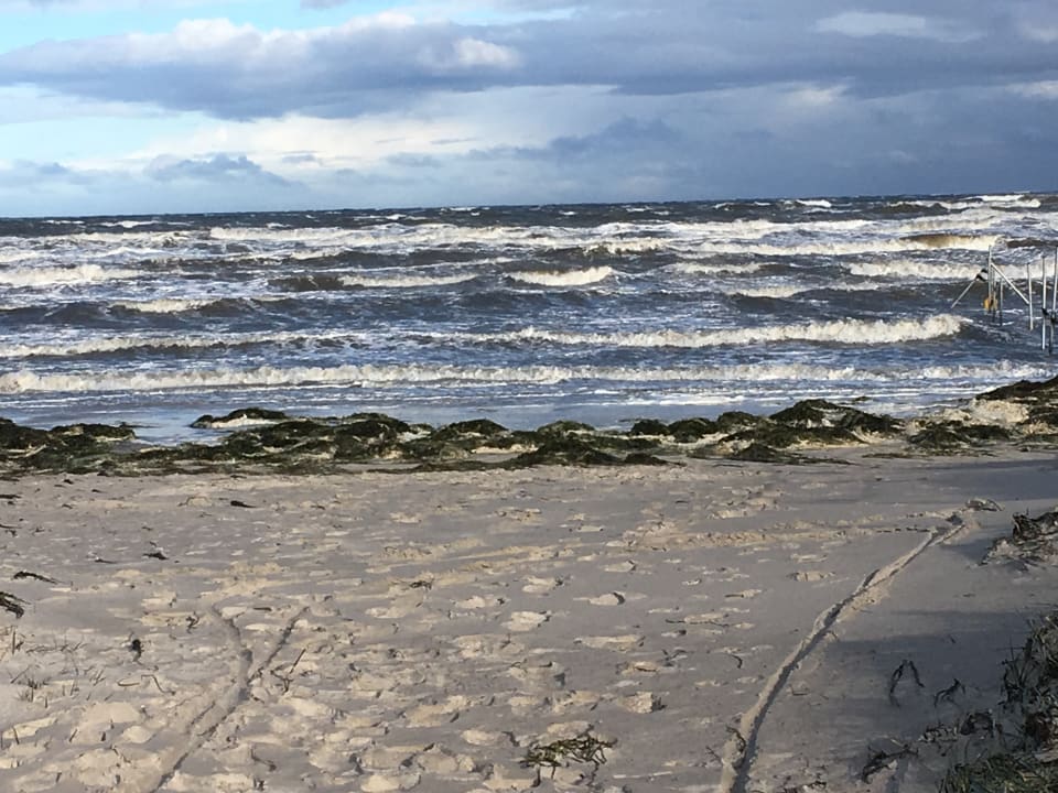 Strand BEECH Resort Boltenhagen