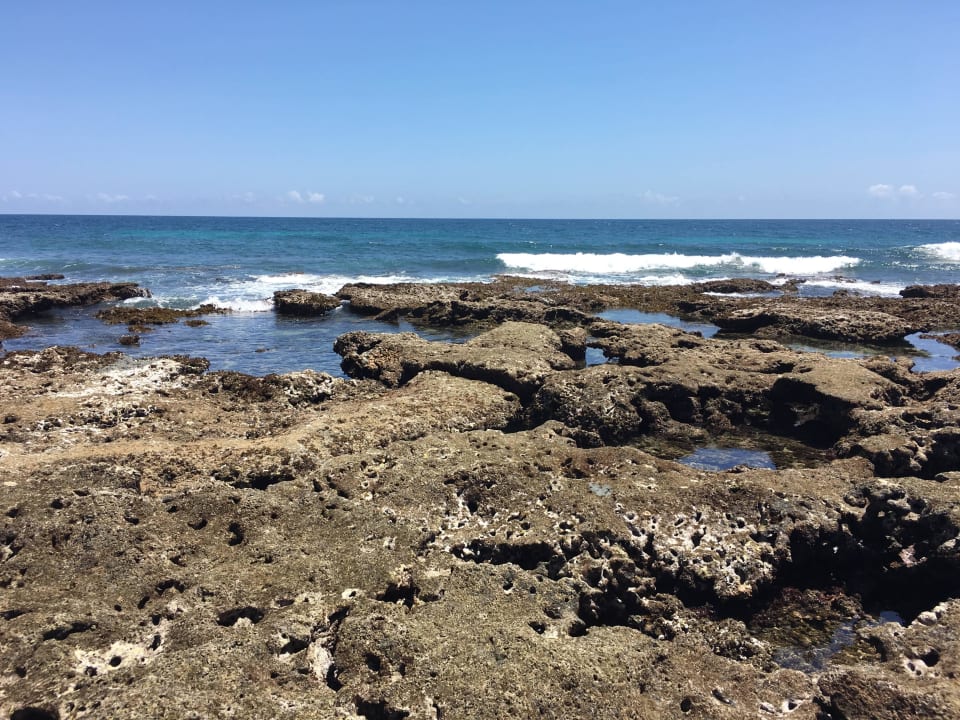 Ebbe Resort Amani Tiwi Beach