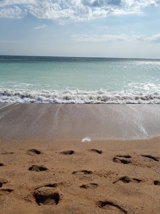 Strand Sentido Marea