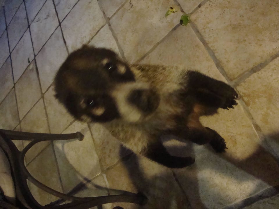 Hotel Catalonia Playa Maroma Catalonia Playa Maroma