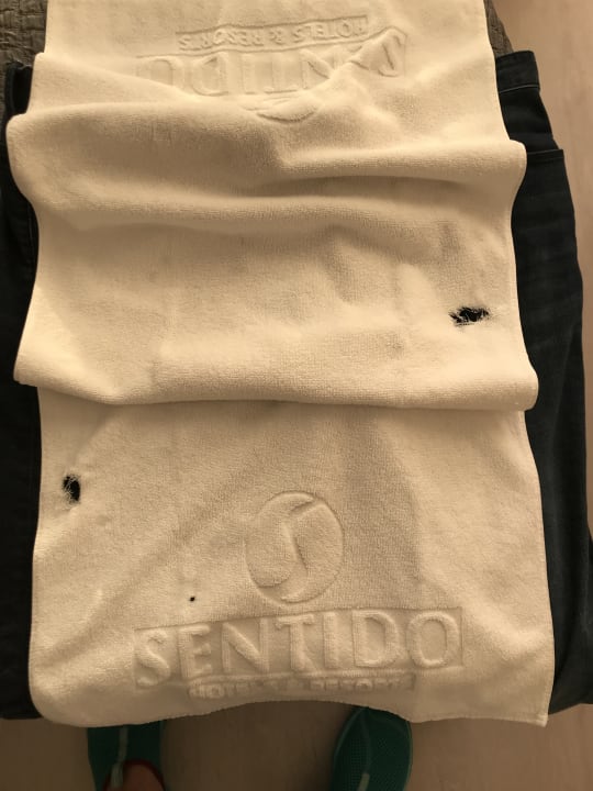 Zimmer CM Playa del Moro