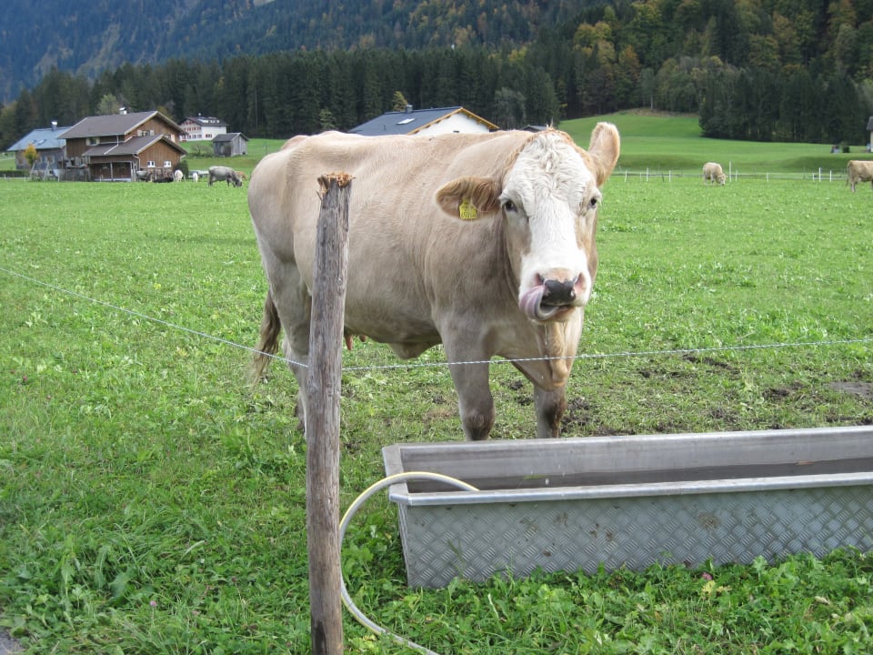 Sonstiges Pension & Ferienwohnung Solaria