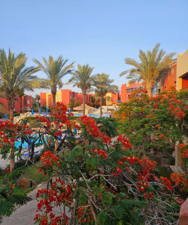 Gartenanlage SUNRISE Cardina Resort