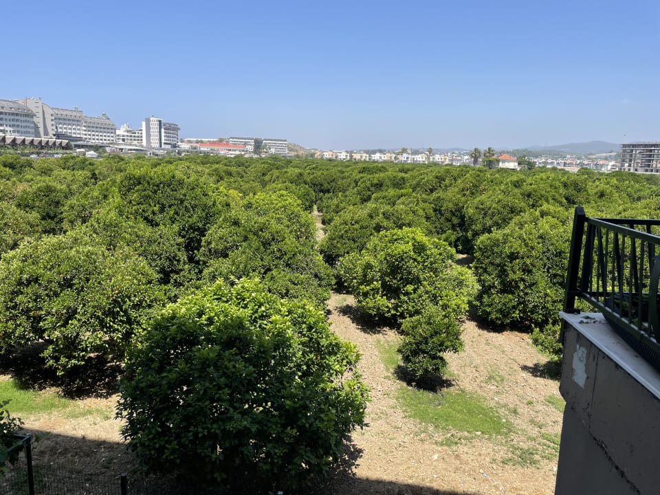Ausblick Haydarpasha Palace