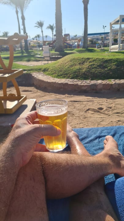 Gastro Pickalbatros Royal Moderna Resort-Sharm El Sheikh