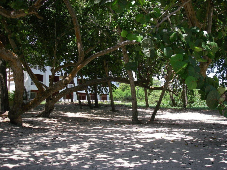 Blick auf Haus 9 Marien Puerto Plata