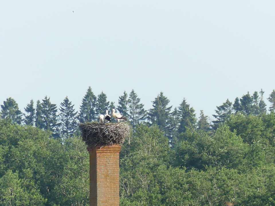 Sonstiges Vihula Manor Country Club and Spa