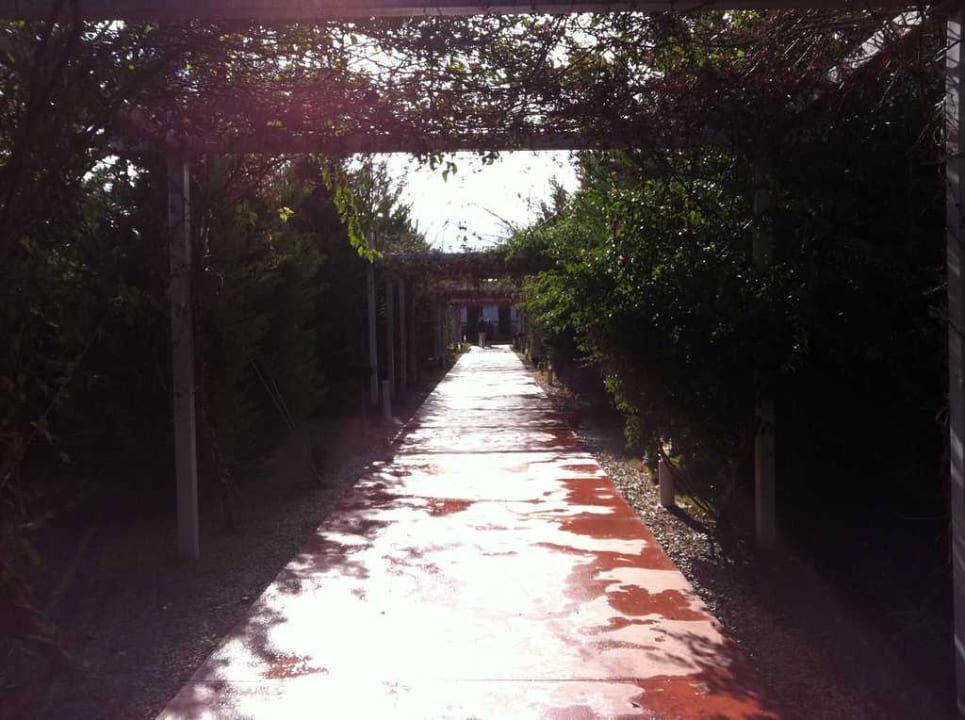 Allee mit Musikbegleitung gen Strand Saturn Palace Resort Hotel
