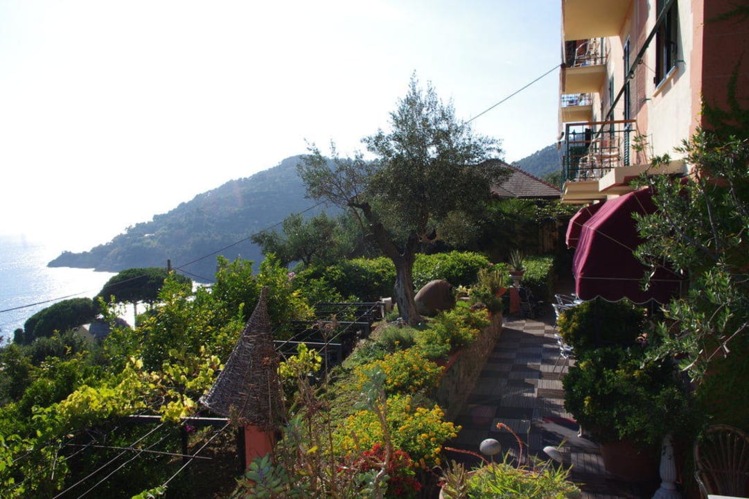 Hoteleingang Hotel Belvedere