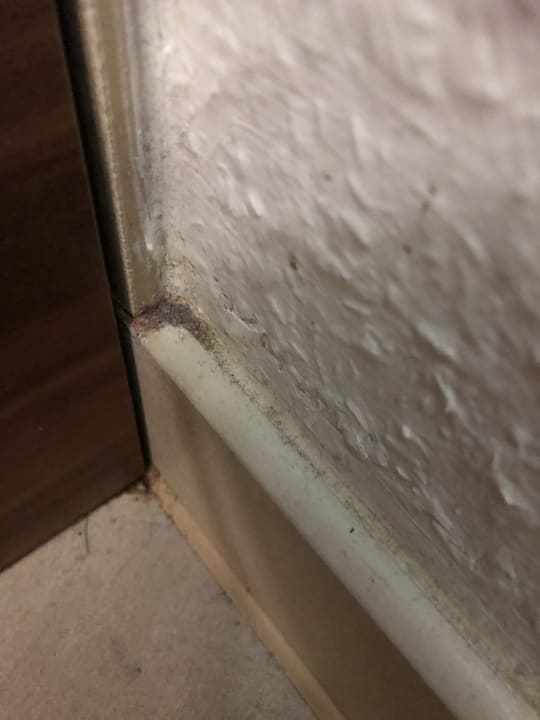 Zimmer Center Parcs Park Bostalsee