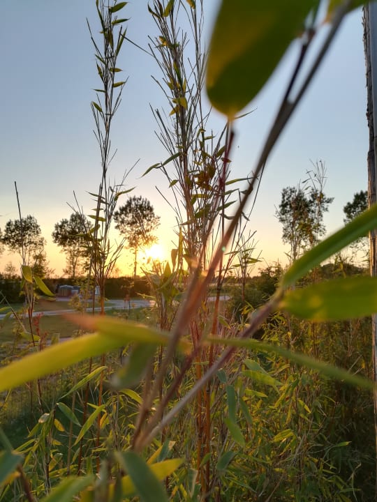 Gartenanlage Buitenplaats Oudendijke