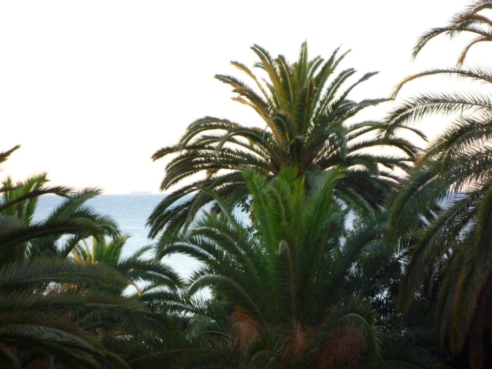 Meerblick aus dem Zimmer Hotel Moroni