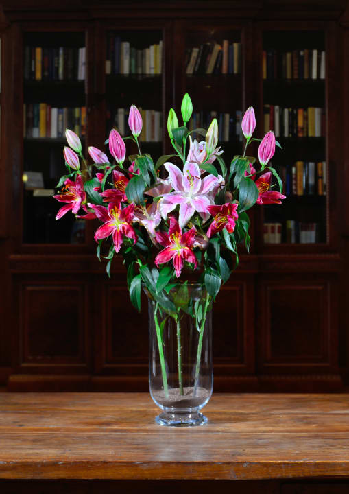 Lobby Hotel DER LINDENHOF