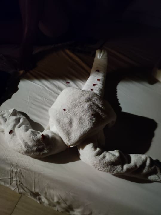 Zimmer Jaz Makadi Oasis Resort