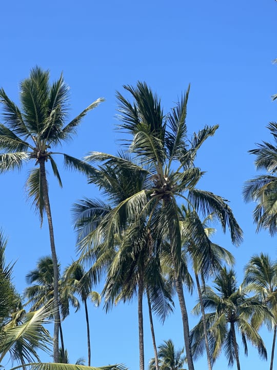 Sonstiges Ocean Paradise Resort & Spa