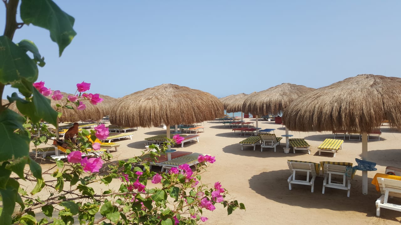 Strand Sentido Caribbean World Soma Bay