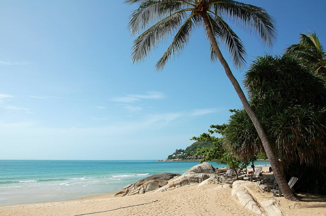 Sieht wirklich so aus New Star Beach Resort