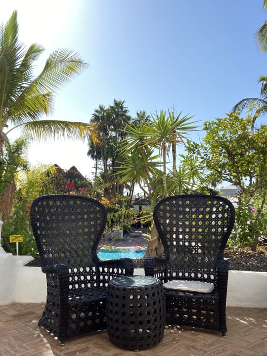 Gartenanlage Dreams Jardín Tropical