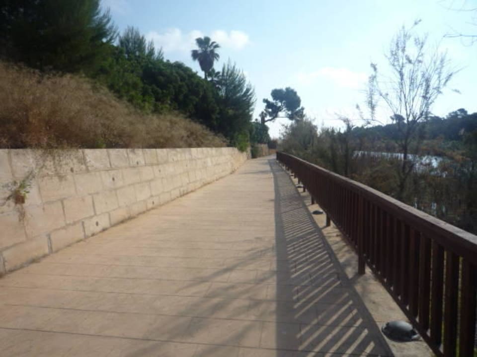 Weg zum Strand Hotel Exagon Park