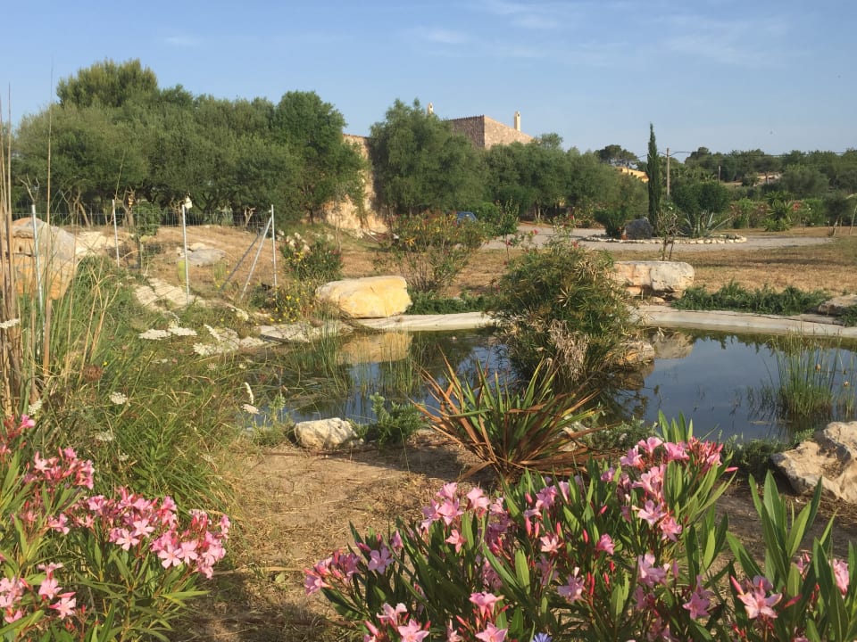 Außenansicht Finca S Olivar d Es Coscois