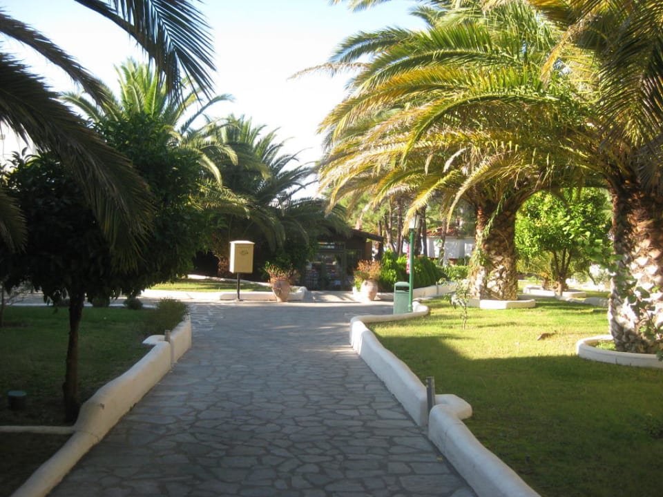 Schöne grüne Gartenanlage Alexandra Beach Thassos Spa Resort