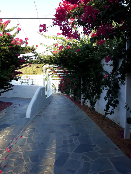 Gartenanlage Knossos Beach Bungalows Suites Resort & Spa