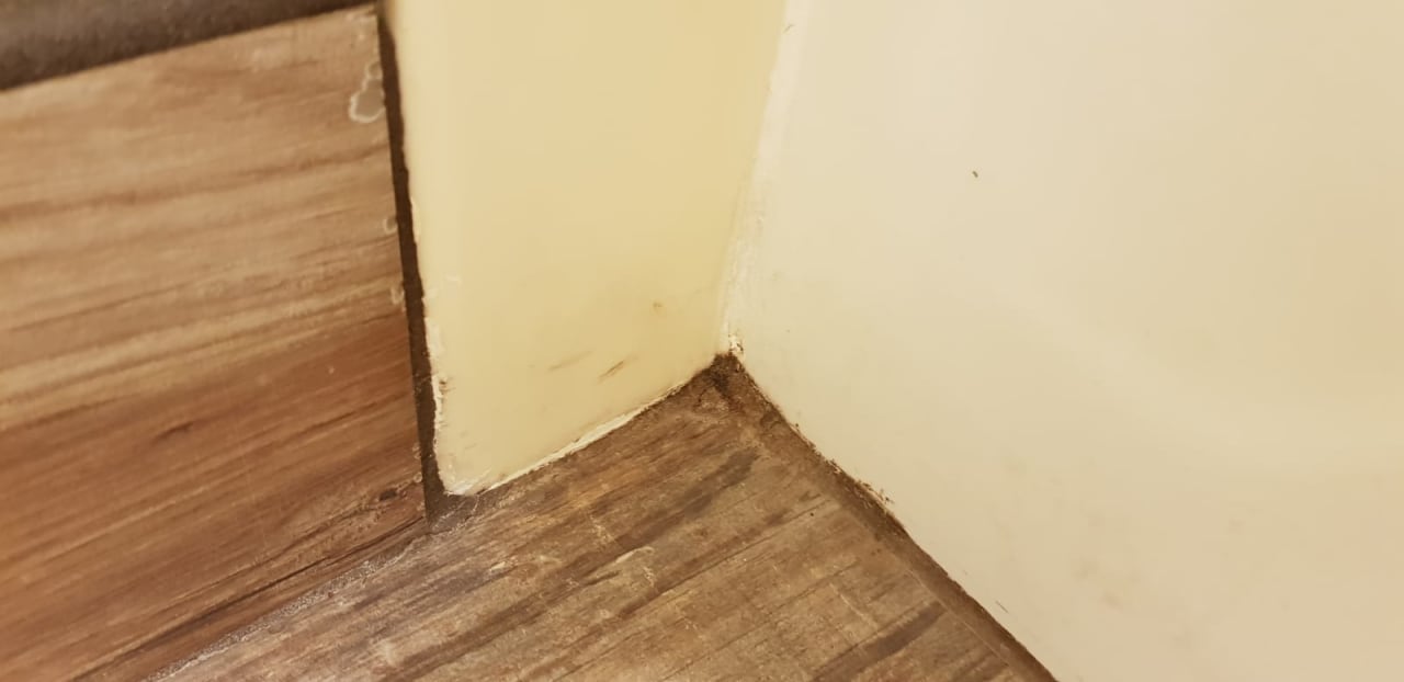 Zimmer Hotel La Quinta Inn Clearwater