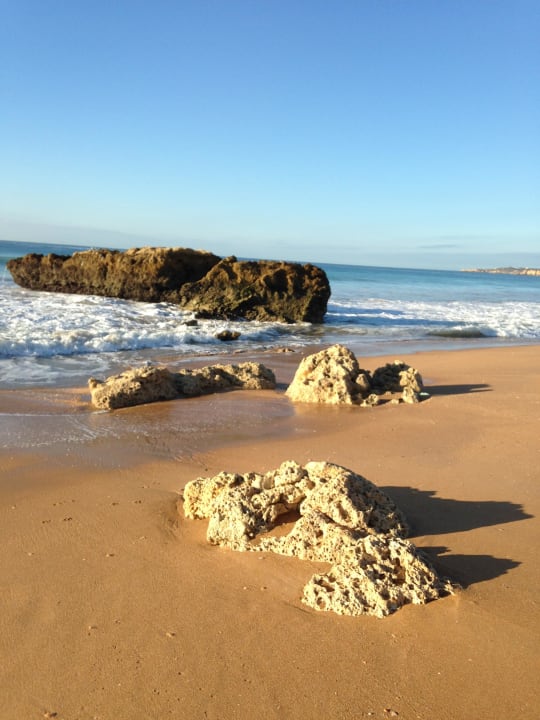 Hotel Monica Isabel Beach Club Monica Isabel Beach Club