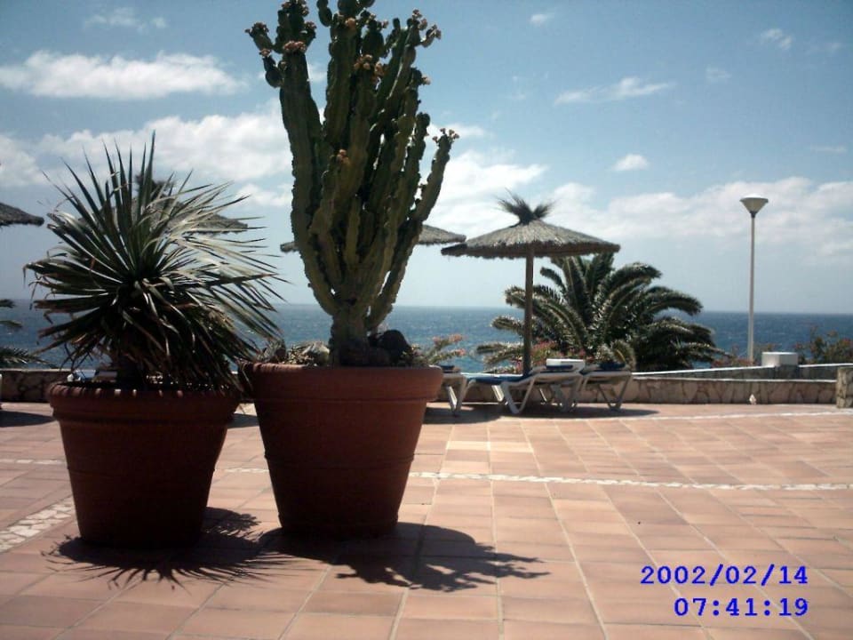 Urlaubsruhe SBH Club Paraiso Playa