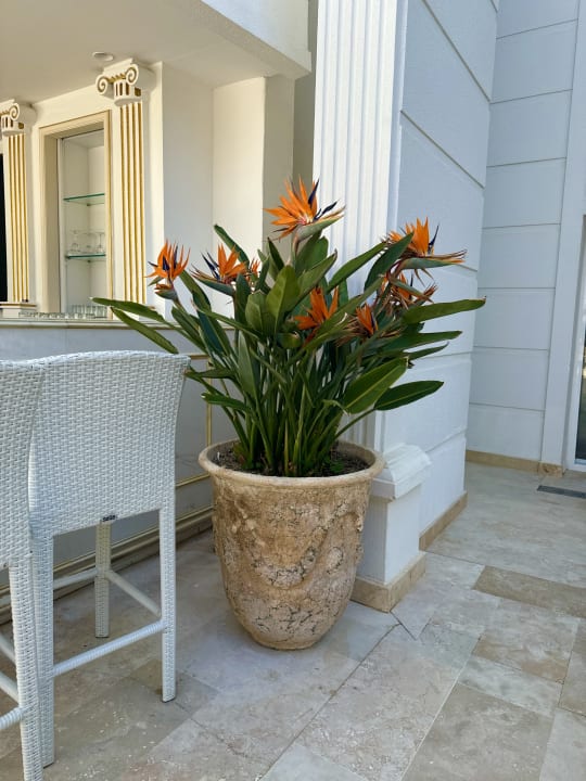 Außenansicht Monachus Family Resort Sorgun