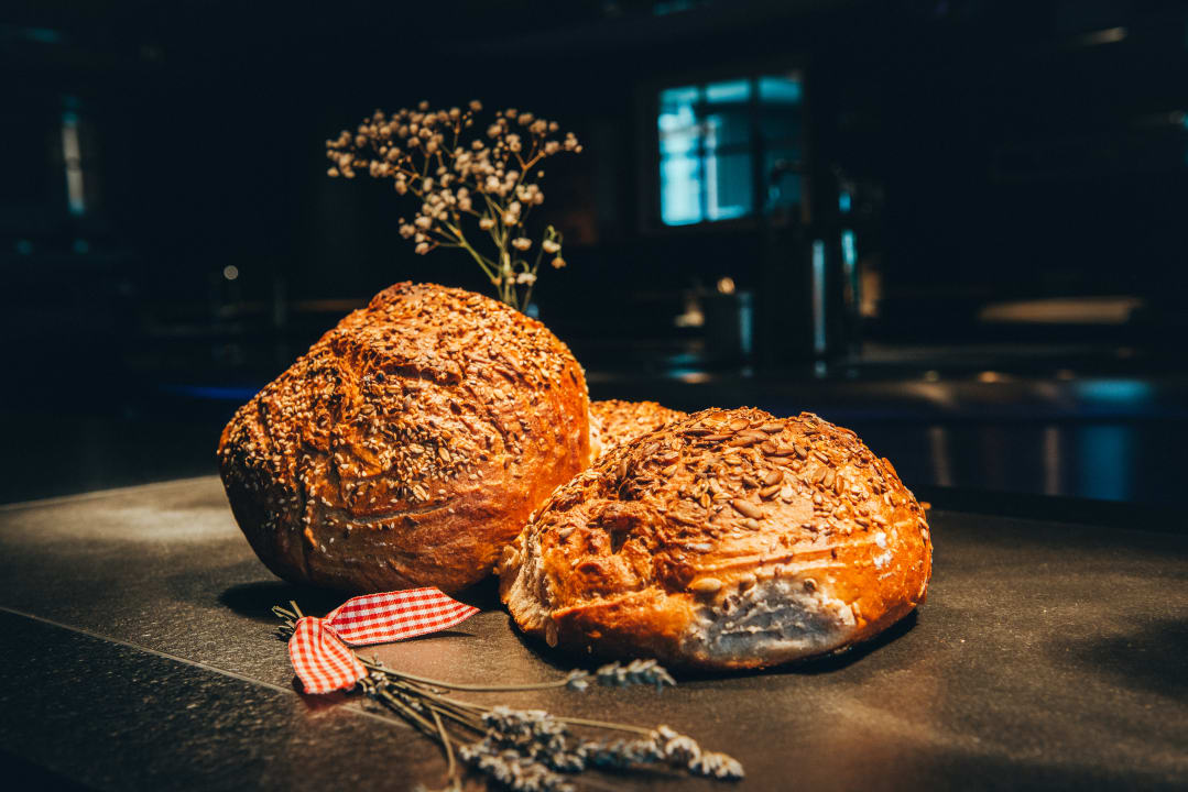 Gastro Hotel Birkenhöhe