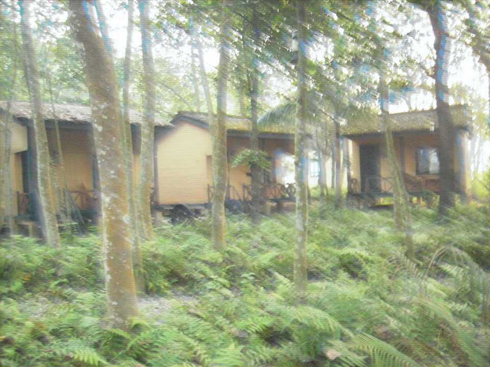 Garten Hotel Maruni Sanctuary Lodge