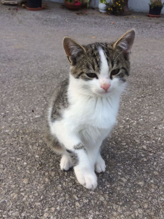 Sonstiges Bergbauernhof Klein Schöntal