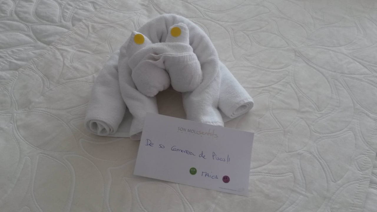 Meine Zimmerfee Son Moll Sentits Hotel & Spa