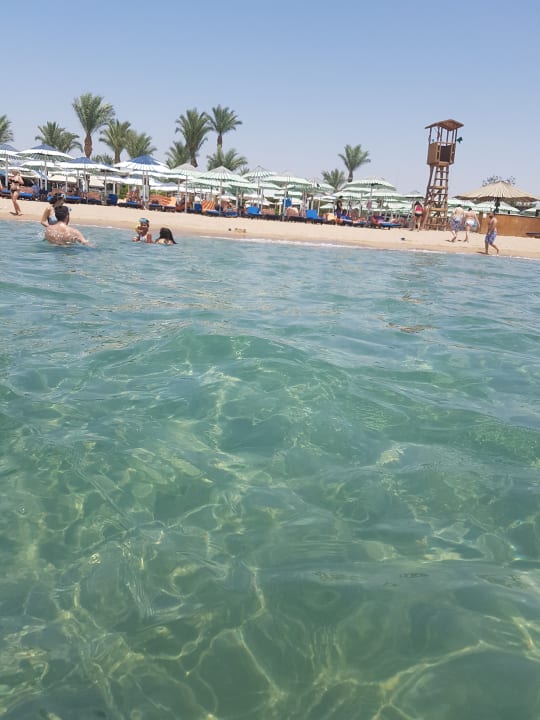 Strand Ghazala Gardens