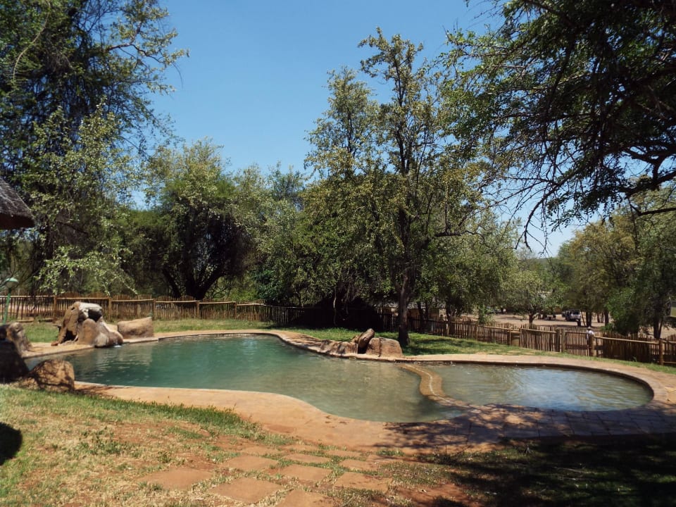 Pool  Punda Maria Rest Camp