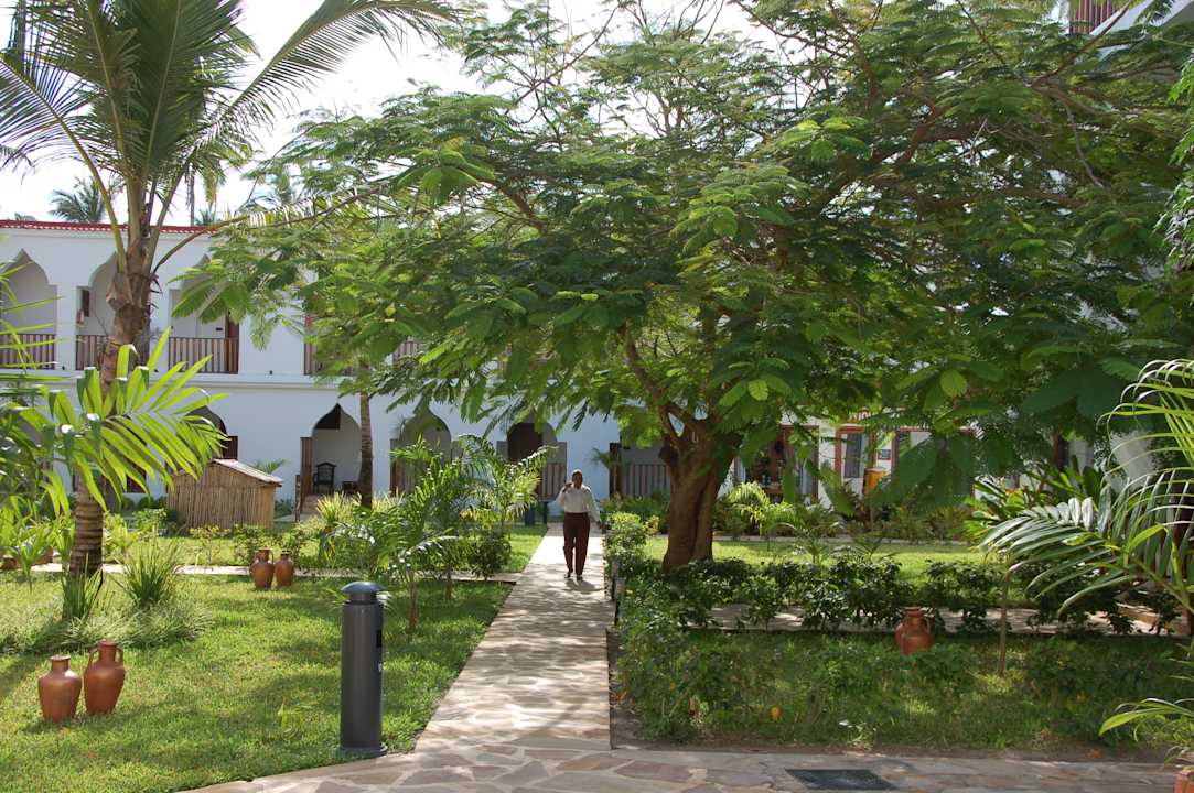 Gartenanlage Dream of Zanzibar