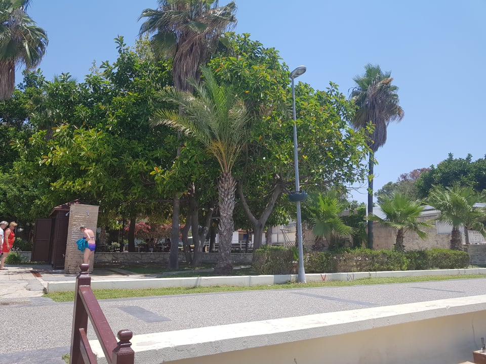 Gartenanlage Hotel Sirma