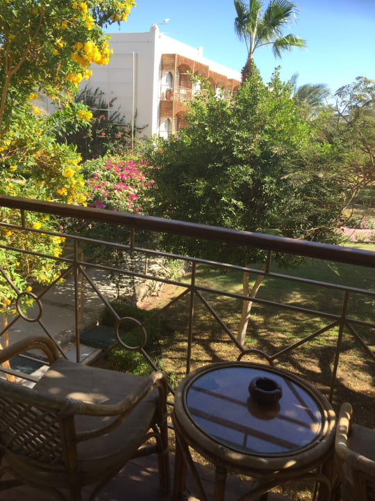 Ausblick Desert Rose