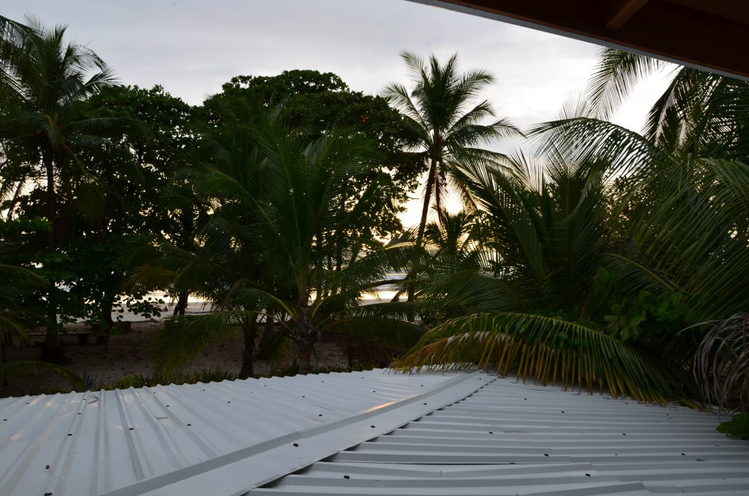 Blick auf den Strand bzw. auf das Dach Hotel Tropico Latino