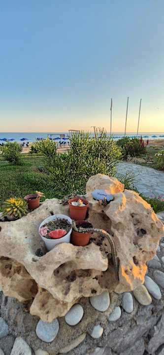 Gartenanlage Hotel Kathrin Beach