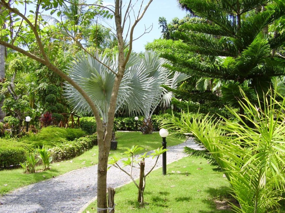 Garten Deevana Patong Resort & Spa
