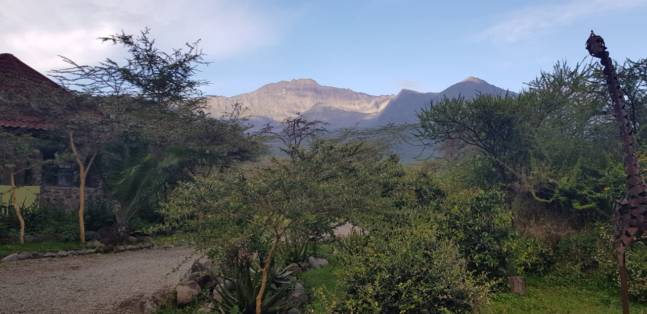 Ausblick Hotel Hatari Lodge