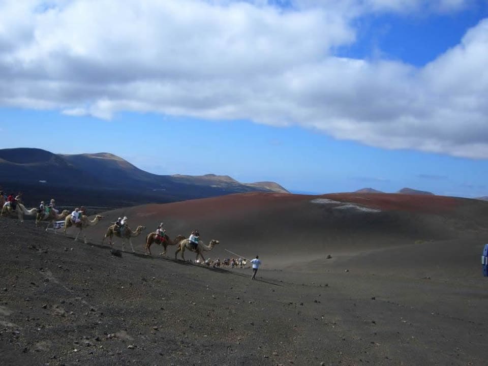 Karawane allsun App.-Hotel Albatros