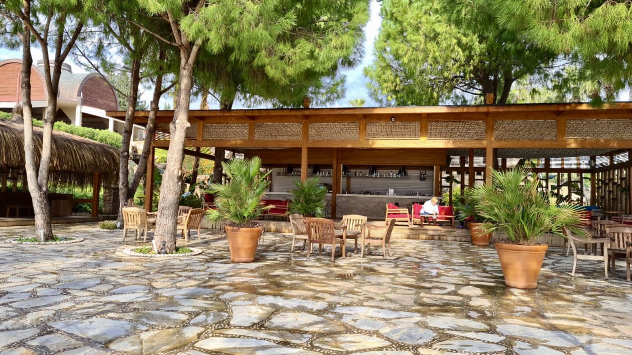 Strand Arum Barut Collection