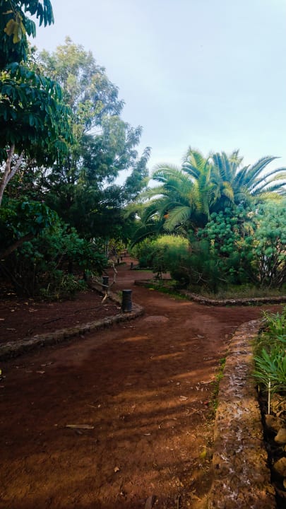 Gartenanlage TRH Taoro Garden