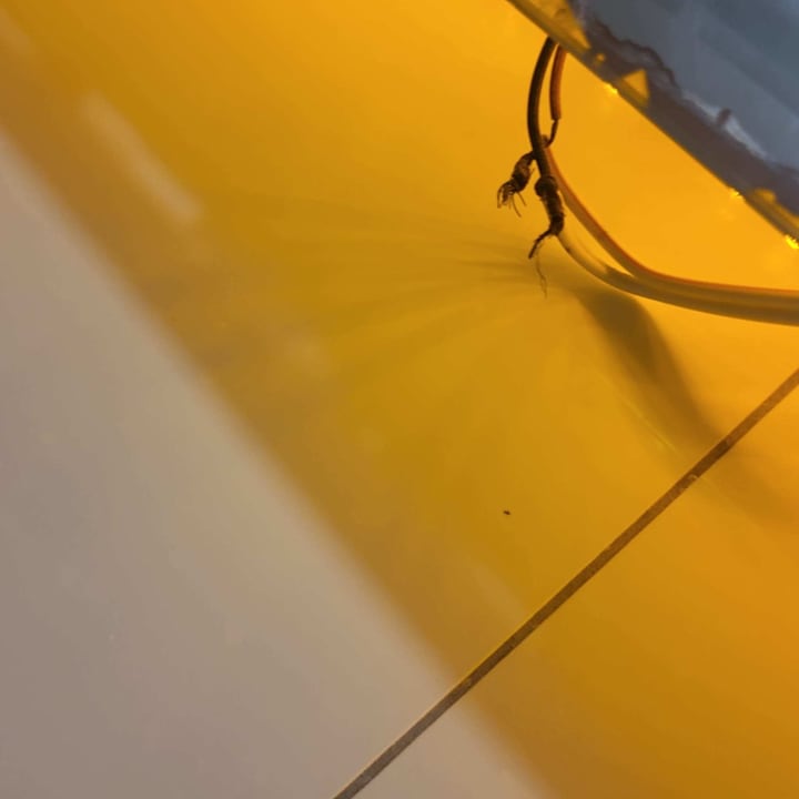 Zimmer Le Bleu Hotel & Resort