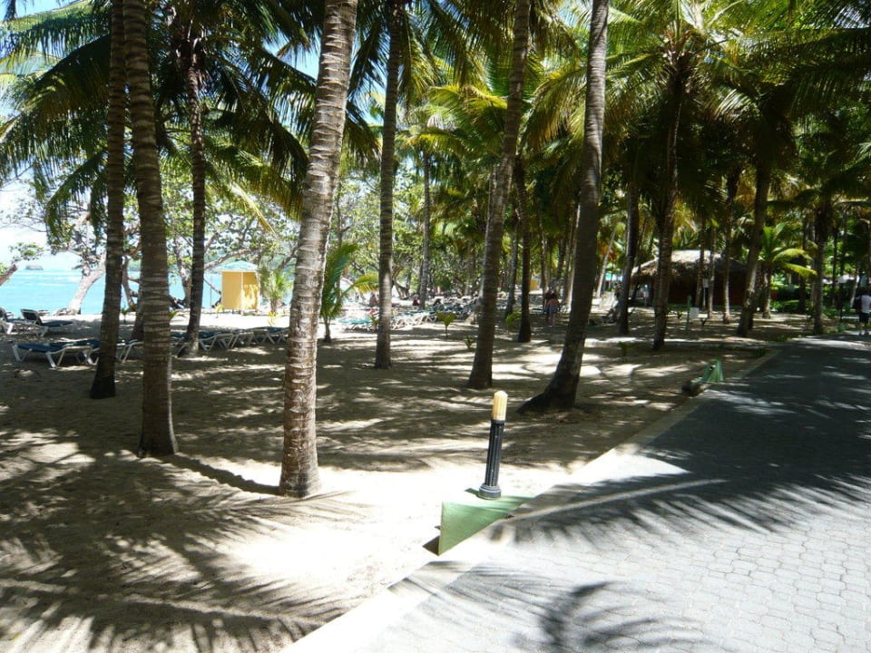 Strandbereich Senator Puerto Plata Hotel